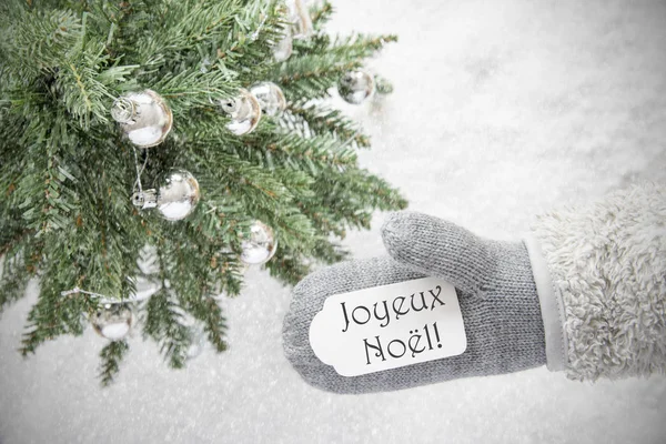 Weihnachtsbaum, Handschuh, joyeux noel bedeutet frohe Weihnachten, Schneeflocken — Stockfoto