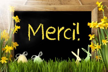 Güneşli Narcissus, Paskalya yumurtası, Bunny, sarı Merci demektir teşekkür ederim
