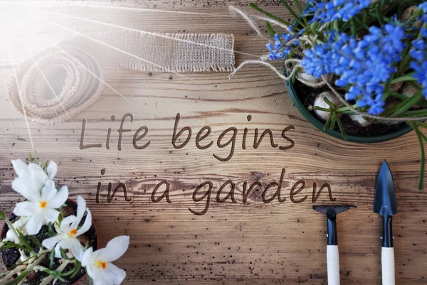 Sunny Spring Flowers, Quote Life Begins In A Garden — Stock Photo, Image