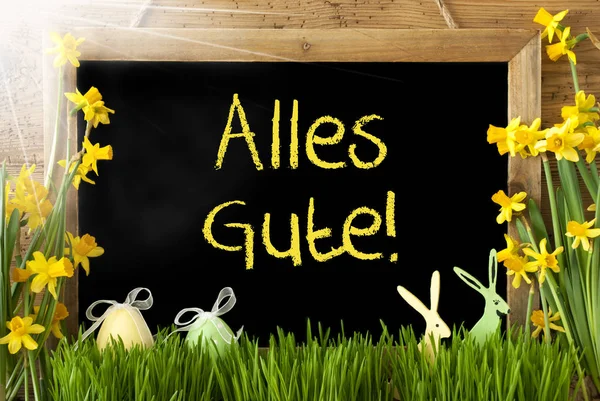 Narciso soleado, Huevo de Pascua, Conejo, Alles Gute significa los mejores deseos —  Fotos de Stock