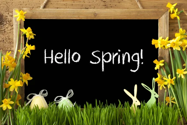 Narcissus, paasei, Bunny, tekst Hello Spring — Stockfoto