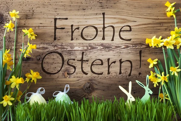 Huevo y conejo, Gras, Frohe Ostern significa feliz Pascua — Foto de Stock