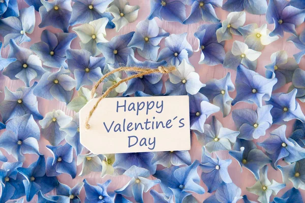 Hortensja płaski układ, tekst Happy Valentines Day — Zdjęcie stockowe