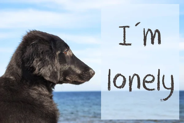 海で犬のテキスト私が寂しい — ストック写真
