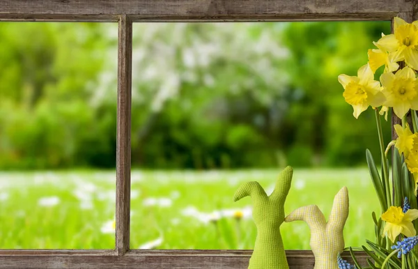 Okno, zelená louka — Stock fotografie