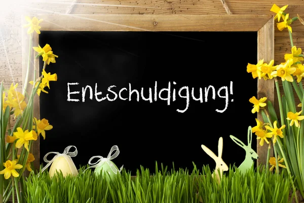 Sunny Narcissus, uovo di Pasqua, coniglietto, Entschuldigung significa scusa — Foto Stock