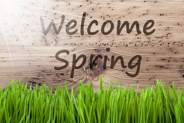 Ljusa soliga trä bakgrund, Gras, Text Välkommen våren — Stockfoto