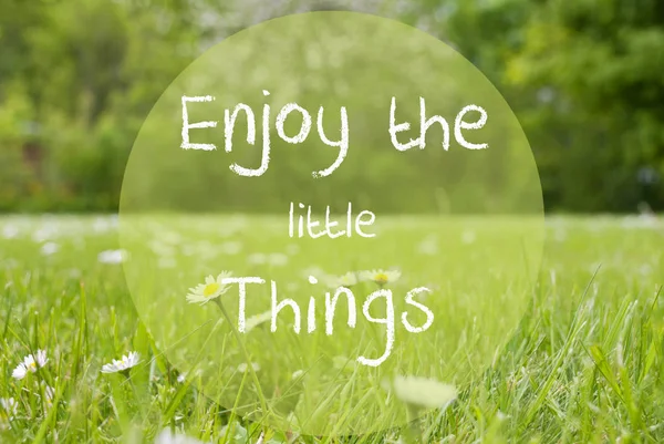 Gras Meadow, Daisy Flowers, Quote Enjoy The Little Things — Stock Photo, Image