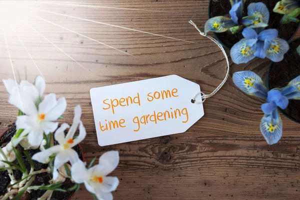 Flores ensolaradas, etiqueta, texto passe algum tempo jardinando — Fotografia de Stock