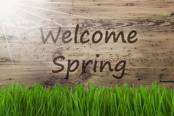 Soliga trä bakgrund, Gras, Text Välkommen våren — Stockfoto