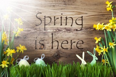 Güneşli Paskalya dekorasyon, ciğeri, metin bahar geldi