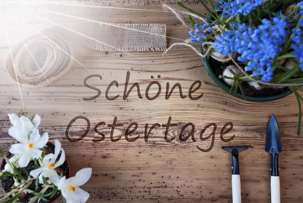 Zonnige Lentebloemen, Schoene Ostertage middelen vrolijk Pasen — Stockfoto