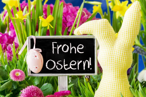 Wiosenne kwiaty, Wielkanoc ozdoby, Frohe Ostern oznacza Wesołych Świąt — Zdjęcie stockowe