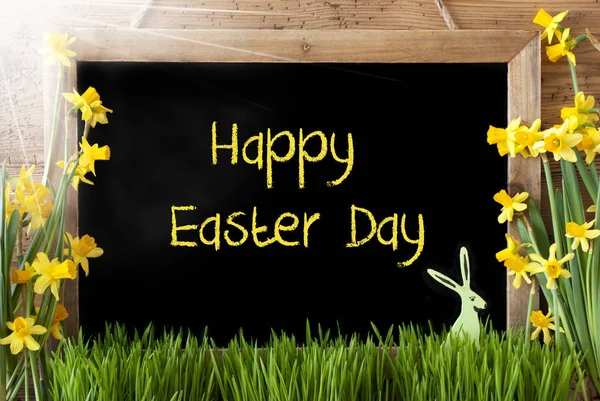 Zonnige Narcissus, Bunny, tekst Happy Easter dag — Stockfoto