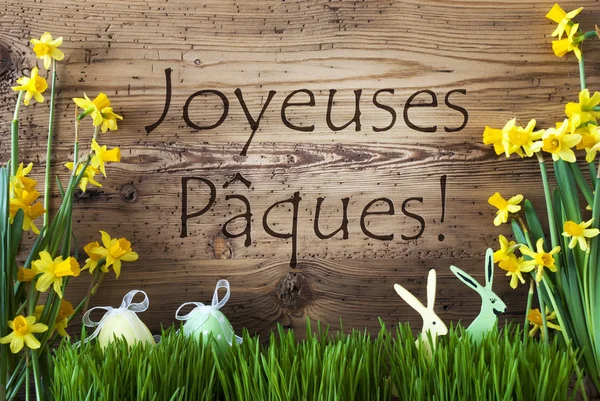 Ägg och Bunny, Gras, Joyeuses Paques betyder Glad påsk — Stockfoto