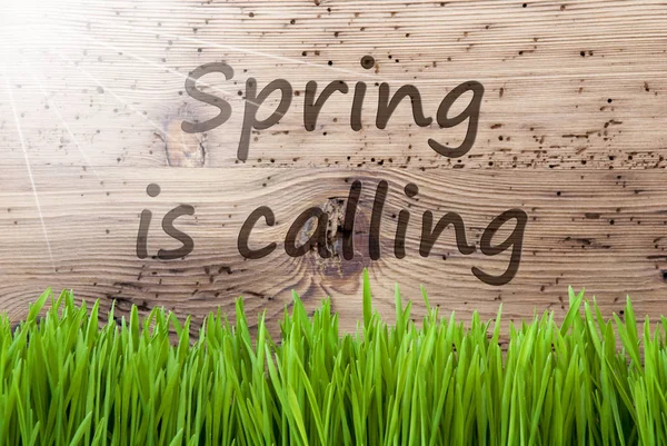 Luminoso sfondo di legno soleggiato, Gras, la primavera del testo sta chiamando — Foto Stock