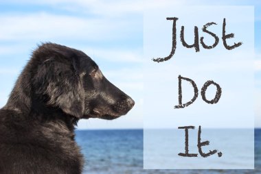 Ocean adlı metin sadece bunu köpek