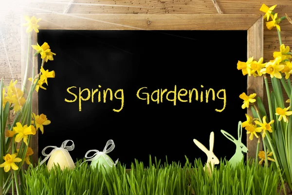 Zonnige Narcissus, paasei, Bunny, tekst voorjaar tuinieren — Stockfoto