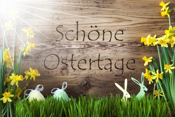 Ovo ensolarado e coelho, Gras, Schoene Ostertage significa feliz Páscoa — Fotografia de Stock