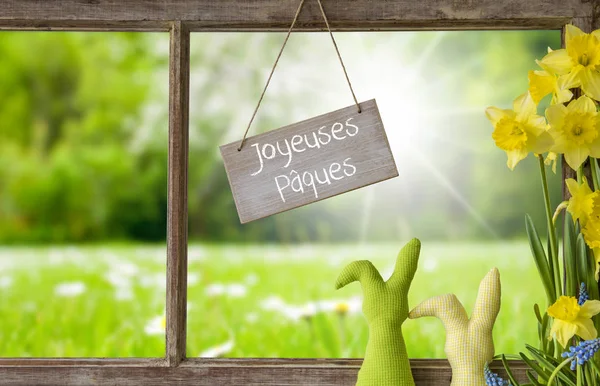 Window, Green Meadow, Joyeuses Paques Means Happy Easter — Stock Photo, Image