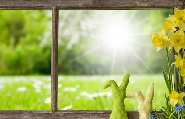 Fenêtre, prairie verte ensoleillée — Photo
