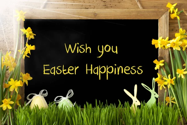 Zonnige Narcissus, ei, Bunny, tekst wensen u geluk van Pasen — Stockfoto