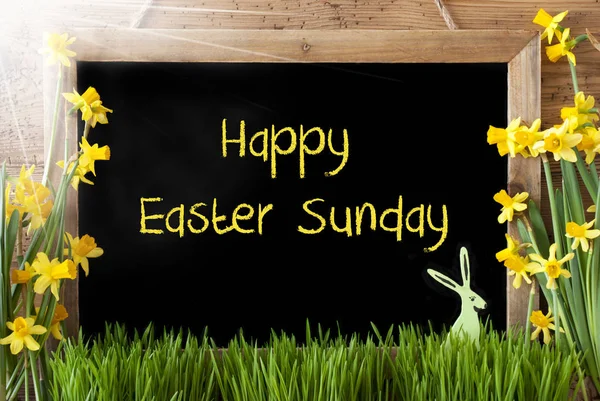 Sunny Narcis, Bunny, Text Veselé Velikonoce neděle — Stock fotografie