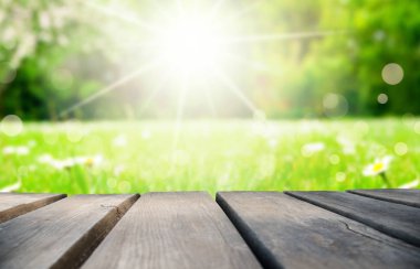 Ahşap masa, papatya çiçek alan arka plan, Bokeh olarak