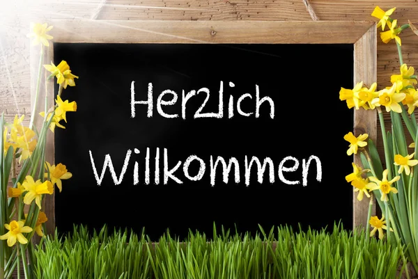 阳光明媚的春天水仙, 黑板, Herzlich Willkommen 表示欢迎 — 图库照片