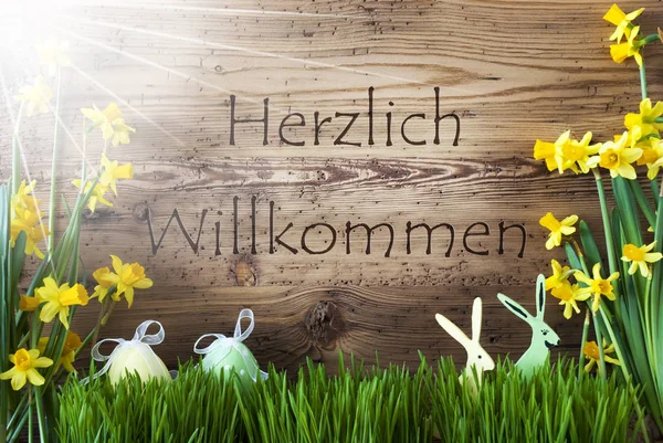 Ensolarado Páscoa Decoração, Gras, Herzlich Willkommen significa Bem-vindo — Fotografia de Stock