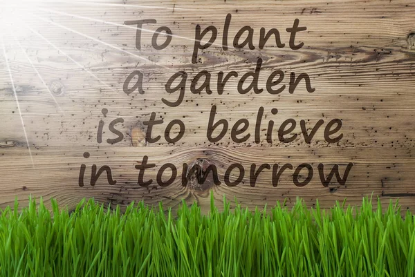 Sunny Wooden Background, Gras, Quote Plant Garden Believe Tomorrow — Stock Photo, Image