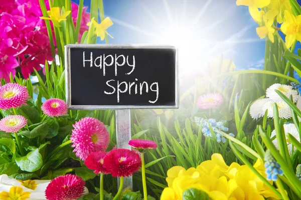 Prato fiorito di primavera soleggiato, primavera felice — Foto Stock