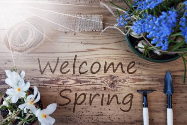 Güneşli çiçekler, metin bahar hoş geldiniz