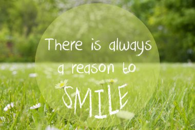 Gras çayır, papatya çiçekler, teklif her zaman bir sebep için gülümseme