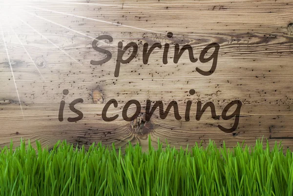 Zonnige houten achtergrond, Gras, tekst lente komt — Stockfoto