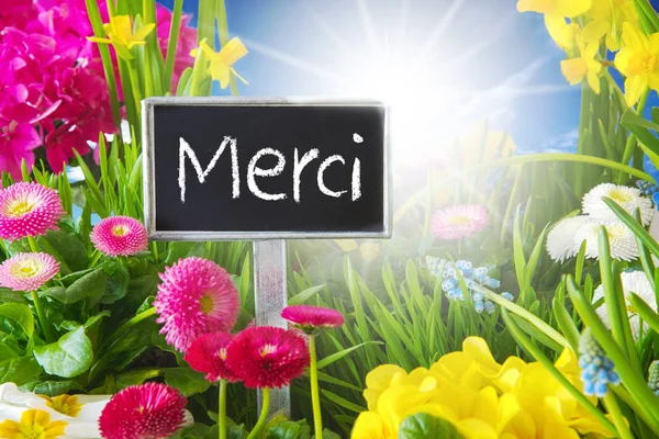 Sonnige Frühlingsblumenwiese, merci bedeutet Danke — Stockfoto