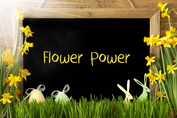 Sunny Narcissus, Easter Egg, Bunny, Text Flower Power — Stock Photo, Image