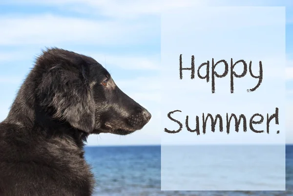 Perro en el océano, Texto Feliz verano —  Fotos de Stock