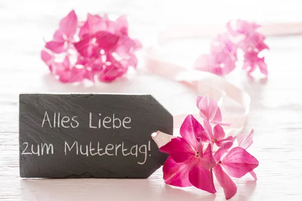 Hortensia Blossom, Muttertag middel Happy Mothers Day — Stockfoto