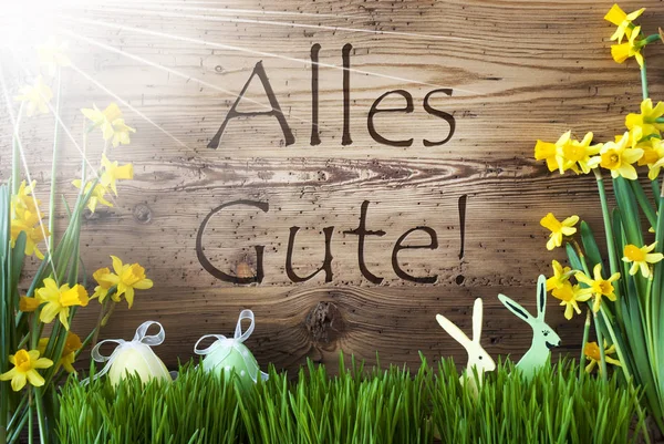 Słoneczny Wielkanoc dekoracja, Gras, Alles Gute oznacza najlepsze życzenia — Zdjęcie stockowe