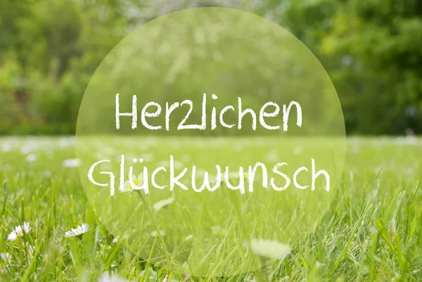 Gras Meadow, Fleurs de marguerite, Herzlichen Glueckwunsch signifie félicitations — Photo