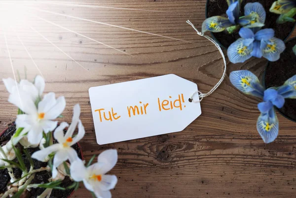 Aurinkoiset kukat, etiketti, Tut Mir Leid tarkoittaa anteeksi — kuvapankkivalokuva