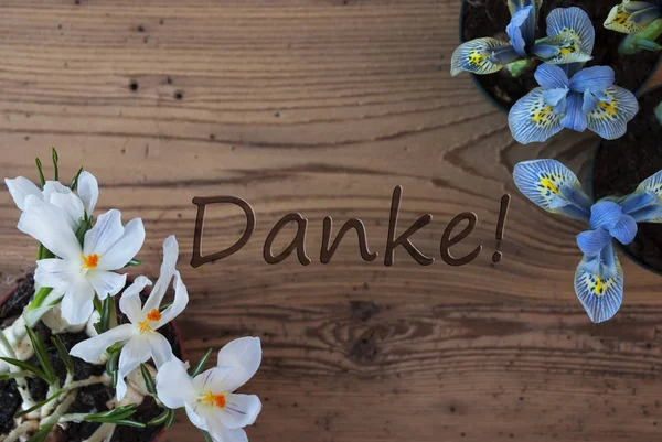 Crocus And Hyacinth, Danke Means Thank You — Stock Photo, Image