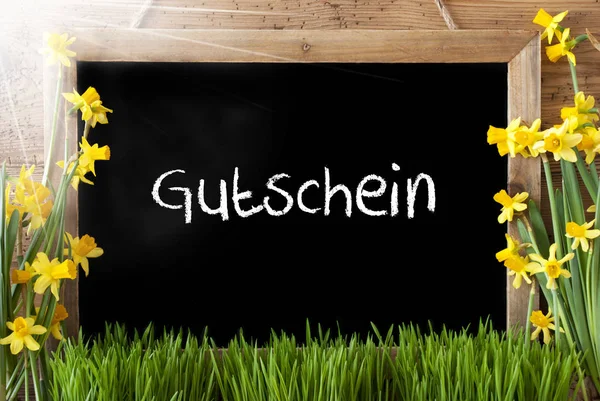 Slunečné jarní Narcis, tabuli, Gutschein znamená doklad — Stock fotografie