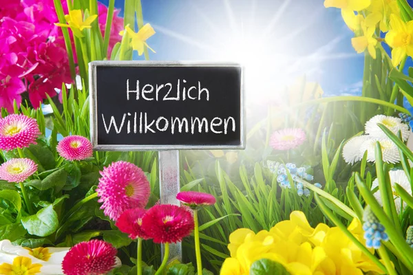 Güneşli bahar çiçek çayır, Willkommen anlamına gelir hoş geldiniz — Stok fotoğraf