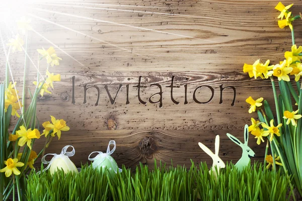 Sunny Easter Decoration, Gras, Text Invitation — ストック写真