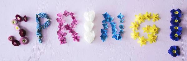 Flat Lay With Spring Flower Blossoms Building Word Spring, Pink Background — стоковое фото