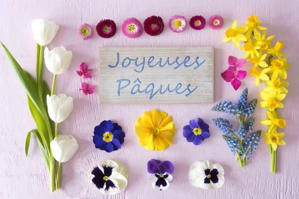 Płaskie układanie z wiosennych kwiatów kwiaty, paques Joyeuses oznacza szczęśliwy Wielkanoc — Zdjęcie stockowe