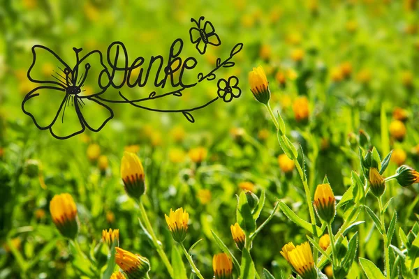 Gelbe Blumenwiese, Kalligrafie bedeutet Danke, Frühlingszeit — Stockfoto