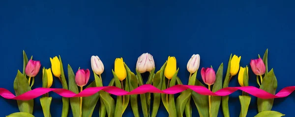 Banner mit gelben und rosa Tulpen Frühlingsblumen, blauer Hintergrund — Stockfoto